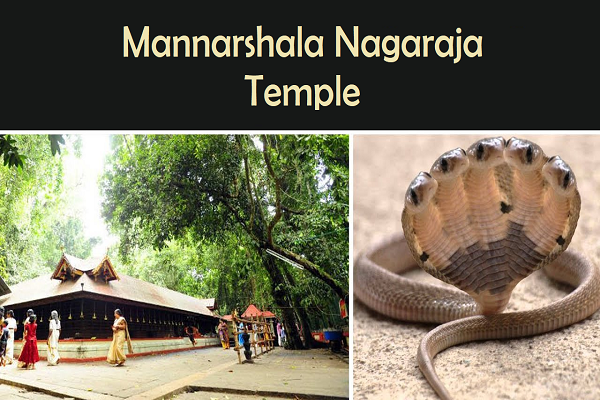 Mannarshala Nagaraja Temple