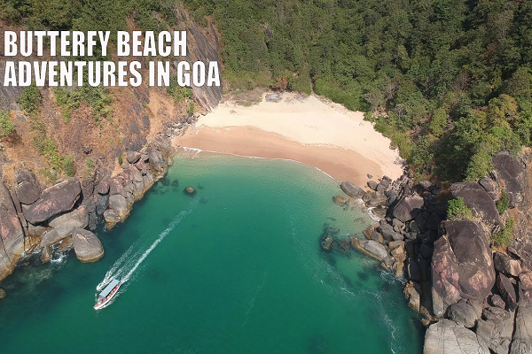 Butterfly Island And Beach Goa