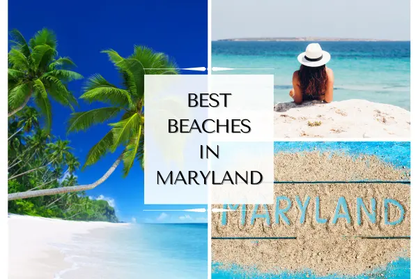 Best Beaches In Maryland